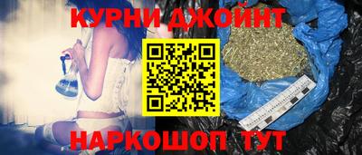 гидропоника Новозыбков
