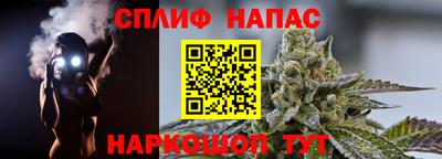 гидропоника Новозыбков