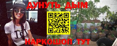 гидропоника Новозыбков